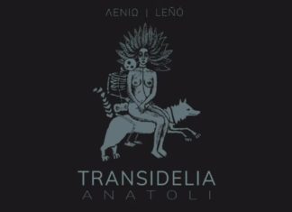 Ακούμε Νέα Τραγούδια | TRANSIDELIA- ΛΕΝΙΩ
