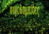 Αργύρης Μπακιρτζής – Βασίλης Καρόζας: «Πυγολαμπίδες» | Νέο τραγούδι