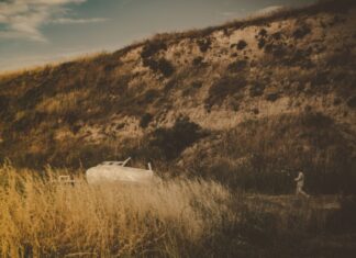 Can I Call Your Summer | Transparent Man | New Single