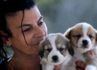 Αφιέρωμα στο Never Walk Alone – Μαρίκα Καμάρη | Μια γυναίκα φύλακας άγγελος για χιλιάδες αδέσποτα σε όλη την Ελλάδα