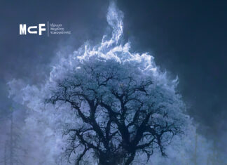 “Η Αξία της Ζωής” σε σκηνοθεσία Σωτήρη Τσαφούλια στο Ίδρυμα “Μιχάλης Κακογιάννης”