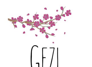 “Gezi” σημαίνει Παρέα, Ταξίδι, Συντροφιά.