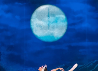 Η ΛΙΜΝΗ ΤΩΝ ΚΥΚΝΩΝ | ΠΕΡΙΟΔΕΙΑ – ΚΑΛΟΚΑΙΡΙ 2025