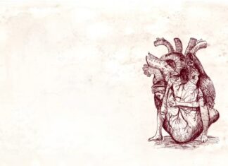 Δημήτρης Μυστακίδης & Μάρθα Φριντζήλα – Μαύρη πέτρα | ΝΕΟ ΤΡΑΓΟΥΔΙ